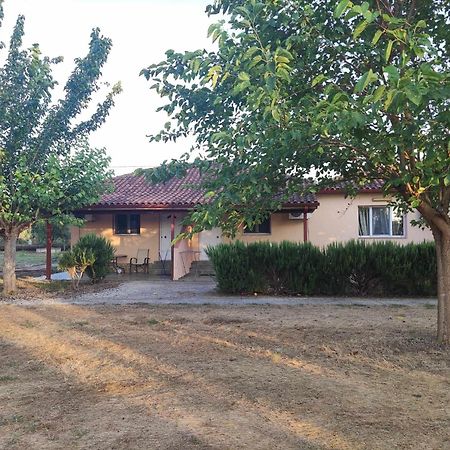 Romvi Village Amaliada Екстериор снимка