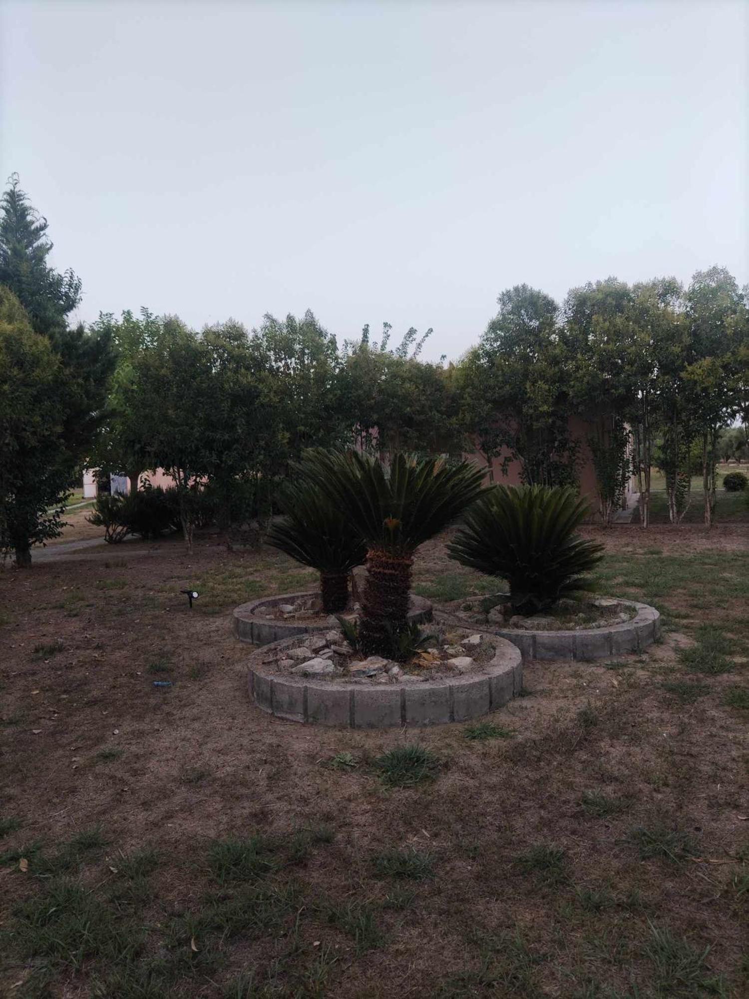 Romvi Village Amaliada Екстериор снимка